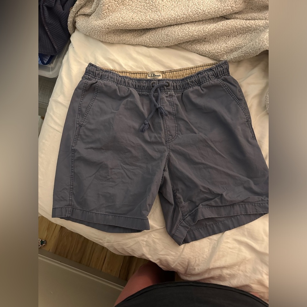 L.L Bean - Men’s L Shorts